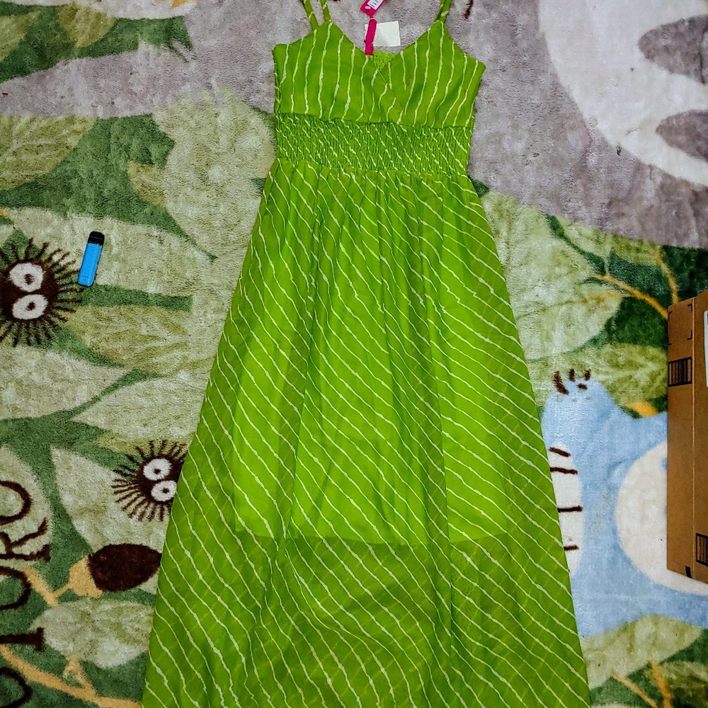 NWT Pink Apple Striped Maxi Dress